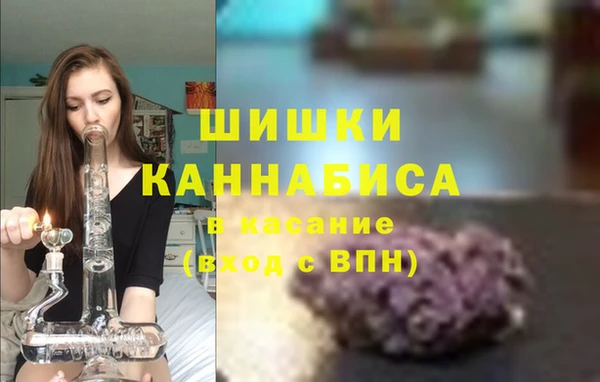 прущие грибы Бугульма