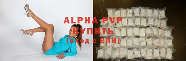 прущие грибы Бугульма
