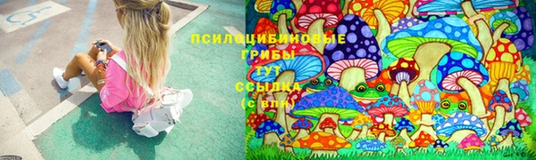 СК Бородино