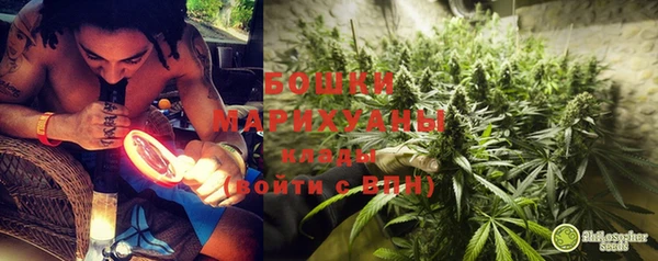 СК Бородино