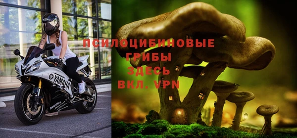 СК Бородино