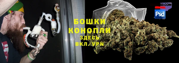 прущие грибы Бугульма