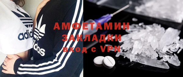 прущие грибы Бугульма